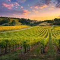 imagen de familia comida2