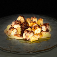 BRAZO DE PULPO